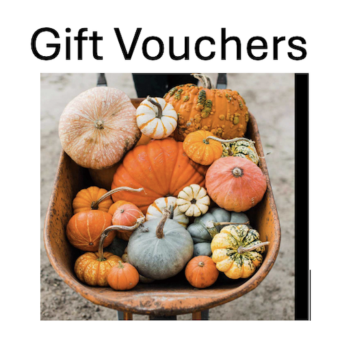 Gift Vouchers